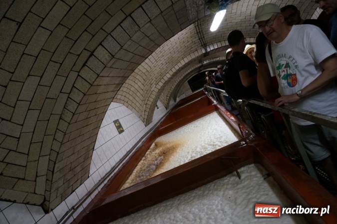 Zdjęcie w galerii na portalu naszraciborz.pl: Pociągiem, kajakiem, autokarem i piechotą przez Racibórz i Ziemię Raciborską - czyli branża turystyczna zwiedza naszą okolicę!  wiadomości z regionu