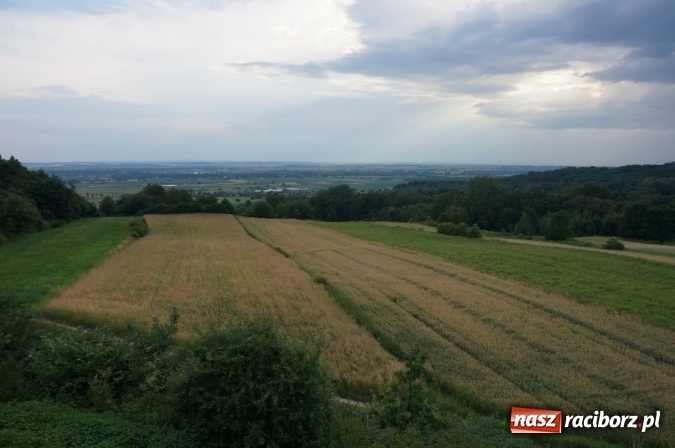 Zdjęcie w galerii na portalu naszraciborz.pl: Pociągiem, kajakiem, autokarem i piechotą przez Racibórz i Ziemię Raciborską - czyli branża turystyczna zwiedza naszą okolicę!  wiadomości z regionu