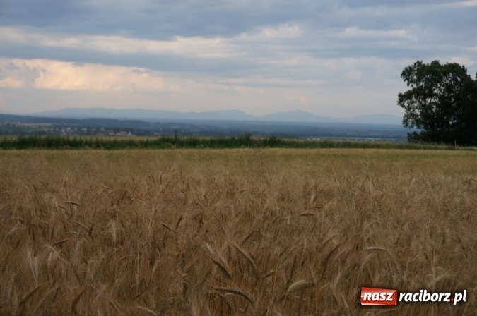 Zdjęcie w galerii na portalu naszraciborz.pl: Pociągiem, kajakiem, autokarem i piechotą przez Racibórz i Ziemię Raciborską - czyli branża turystyczna zwiedza naszą okolicę!  wiadomości z regionu