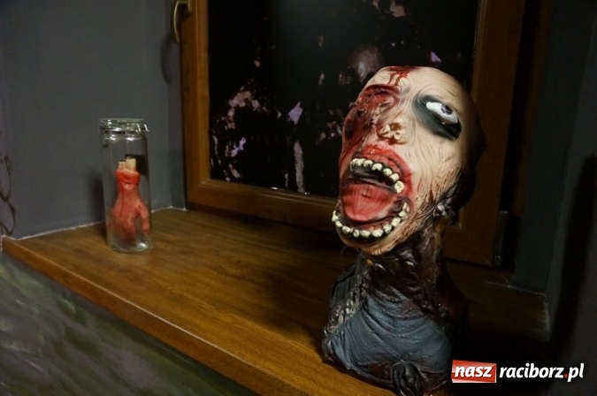 Zdjęcie w galerii na portalu naszraciborz.pl: Pociągiem, kajakiem, autokarem i piechotą przez Racibórz i Ziemię Raciborską - czyli branża turystyczna zwiedza naszą okolicę!  wiadomości z regionu