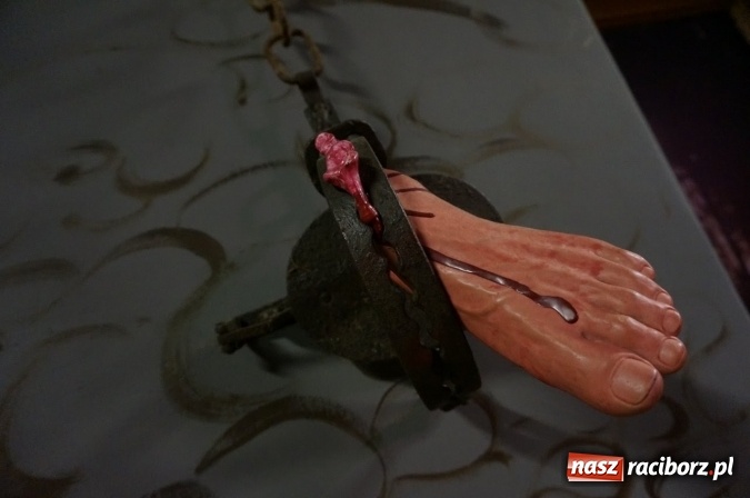 Zdjęcie w galerii na portalu naszraciborz.pl: Pociągiem, kajakiem, autokarem i piechotą przez Racibórz i Ziemię Raciborską - czyli branża turystyczna zwiedza naszą okolicę!  wiadomości z regionu