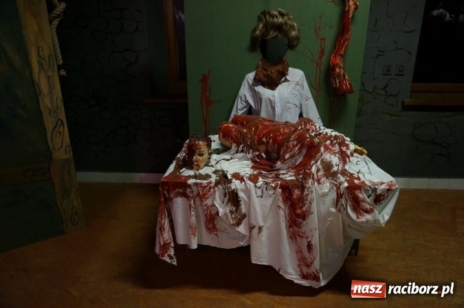 Zdjęcie w galerii na portalu naszraciborz.pl: Pociągiem, kajakiem, autokarem i piechotą przez Racibórz i Ziemię Raciborską - czyli branża turystyczna zwiedza naszą okolicę!  wiadomości z regionu