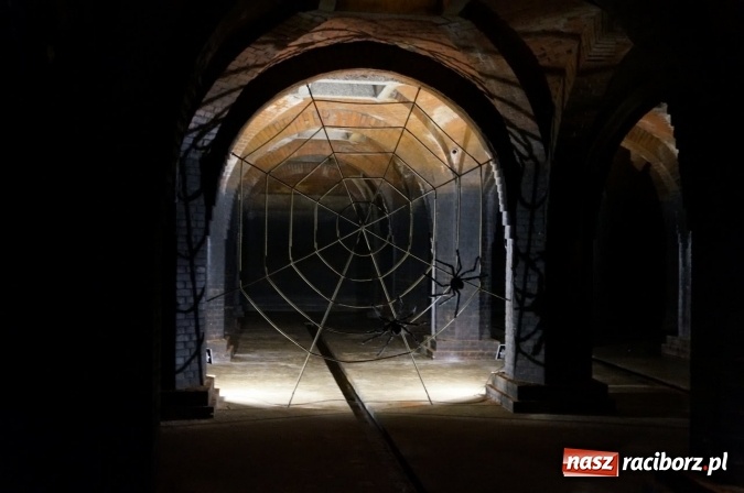 Zdjęcie w galerii na portalu naszraciborz.pl: Pociągiem, kajakiem, autokarem i piechotą przez Racibórz i Ziemię Raciborską - czyli branża turystyczna zwiedza naszą okolicę!  wiadomości z regionu