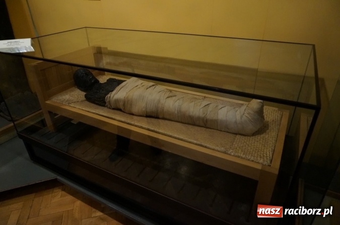 Zdjęcie w galerii na portalu naszraciborz.pl: Pociągiem, kajakiem, autokarem i piechotą przez Racibórz i Ziemię Raciborską - czyli branża turystyczna zwiedza naszą okolicę!  wiadomości z regionu