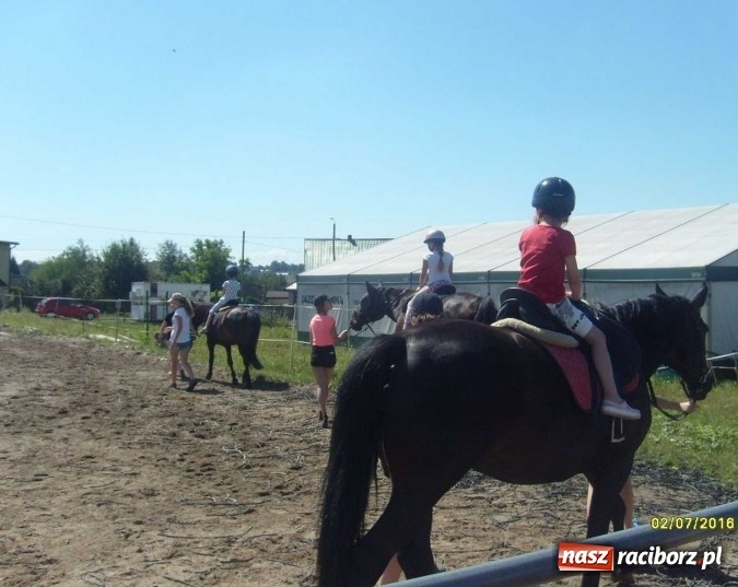 Zdjęcie w galerii na portalu naszraciborz.pl: Pełen atrakcji drugi tydzień wakacji z M-5 wiadomości z regionu