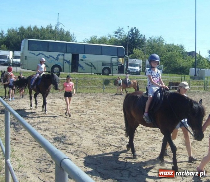Zdjęcie w galerii na portalu naszraciborz.pl: Pełen atrakcji drugi tydzień wakacji z M-5 wiadomości z regionu