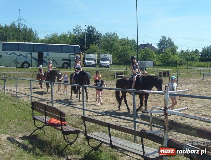 Zdjęcie w galerii na portalu naszraciborz.pl: Pełen atrakcji drugi tydzień wakacji z M-5 wiadomości z regionu