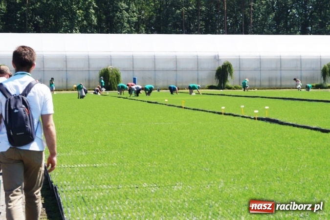 Zdjęcie w galerii na portalu naszraciborz.pl: Szk&oacute;łka kontenerowa w Nędzy wzorem technologicznym dla Europy. Konferencja leśnik&oacute;w wiadomości z regionu