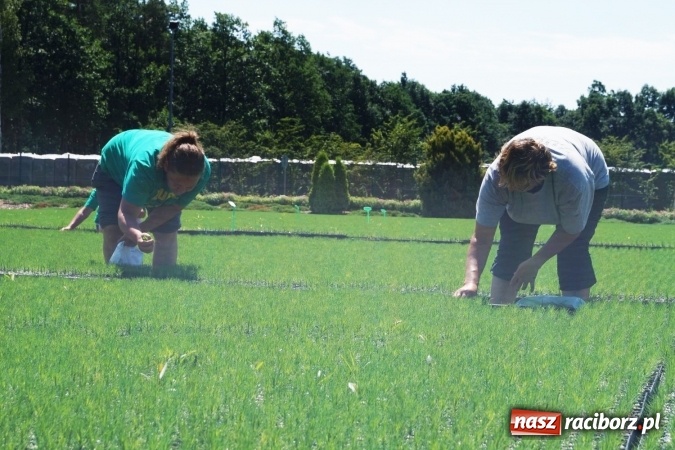 Zdjęcie w galerii na portalu naszraciborz.pl: Szk&oacute;łka kontenerowa w Nędzy wzorem technologicznym dla Europy. Konferencja leśnik&oacute;w wiadomości z regionu