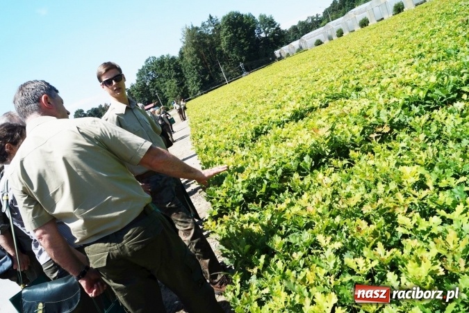 Zdjęcie w galerii na portalu naszraciborz.pl: Szk&oacute;łka kontenerowa w Nędzy wzorem technologicznym dla Europy. Konferencja leśnik&oacute;w wiadomości z regionu