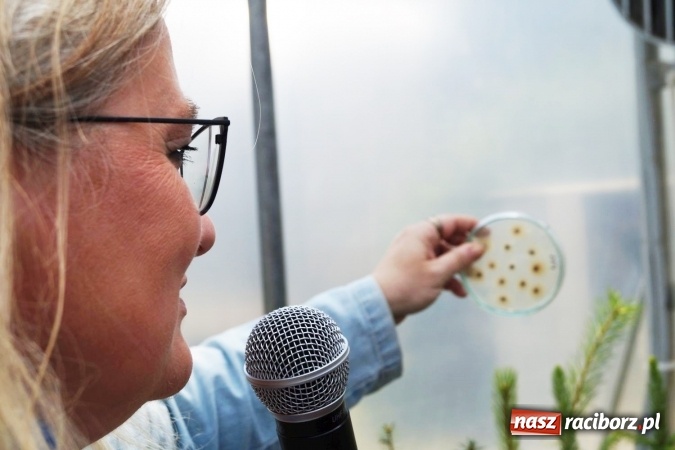 Zdjęcie w galerii na portalu naszraciborz.pl: Szk&oacute;łka kontenerowa w Nędzy wzorem technologicznym dla Europy. Konferencja leśnik&oacute;w wiadomości z regionu