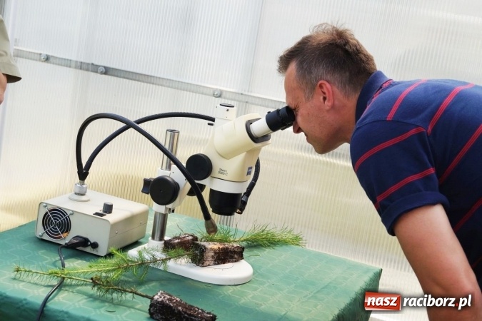 Zdjęcie w galerii na portalu naszraciborz.pl: Szk&oacute;łka kontenerowa w Nędzy wzorem technologicznym dla Europy. Konferencja leśnik&oacute;w wiadomości z regionu