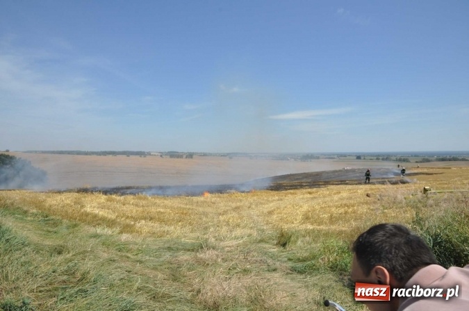 Zdjęcie w galerii na portalu naszraciborz.pl: Pożar zboża na pniu i ścierniska na granicy Pawłowa i Raciborza FOTO i WIDEO z akcji wiadomości z regionu