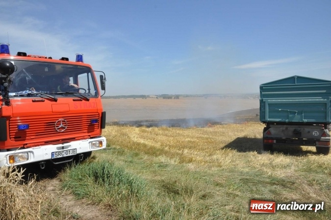 Zdjęcie w galerii na portalu naszraciborz.pl: Pożar zboża na pniu i ścierniska na granicy Pawłowa i Raciborza FOTO i WIDEO z akcji wiadomości z regionu