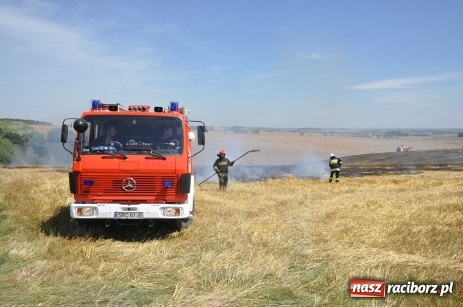 Zdjęcie w galerii na portalu naszraciborz.pl: Pożar zboża na pniu i ścierniska na granicy Pawłowa i Raciborza FOTO i WIDEO z akcji wiadomości z regionu