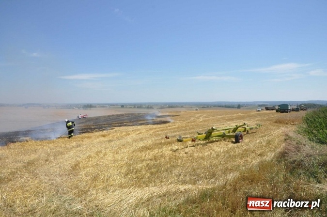Zdjęcie w galerii na portalu naszraciborz.pl: Pożar zboża na pniu i ścierniska na granicy Pawłowa i Raciborza FOTO i WIDEO z akcji wiadomości z regionu
