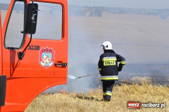 Zdjęcie w galerii na portalu naszraciborz.pl: Pożar zboża na pniu i ścierniska na granicy Pawłowa i Raciborza FOTO i WIDEO z akcji wiadomości z regionu