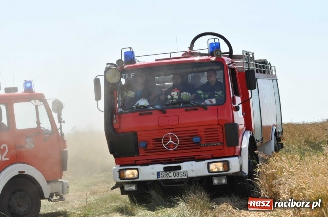 Zdjęcie w galerii na portalu naszraciborz.pl: Pożar zboża na pniu i ścierniska na granicy Pawłowa i Raciborza FOTO i WIDEO z akcji wiadomości z regionu
