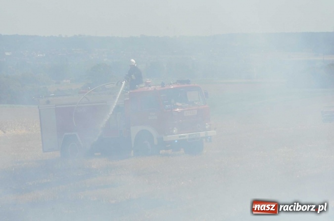Zdjęcie w galerii na portalu naszraciborz.pl: Pożar zboża na pniu i ścierniska na granicy Pawłowa i Raciborza FOTO i WIDEO z akcji wiadomości z regionu