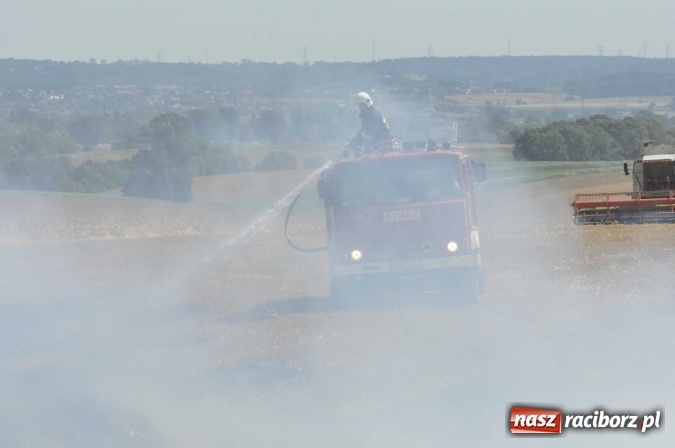 Zdjęcie w galerii na portalu naszraciborz.pl: Pożar zboża na pniu i ścierniska na granicy Pawłowa i Raciborza FOTO i WIDEO z akcji wiadomości z regionu