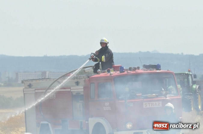 Zdjęcie w galerii na portalu naszraciborz.pl: Pożar zboża na pniu i ścierniska na granicy Pawłowa i Raciborza FOTO i WIDEO z akcji wiadomości z regionu