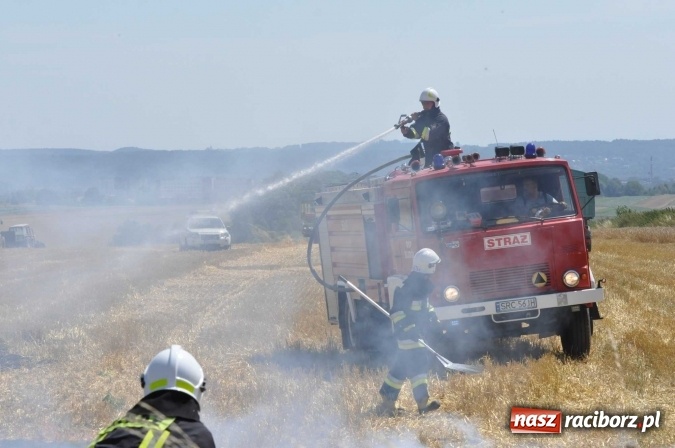 Zdjęcie w galerii na portalu naszraciborz.pl: Pożar zboża na pniu i ścierniska na granicy Pawłowa i Raciborza FOTO i WIDEO z akcji wiadomości z regionu