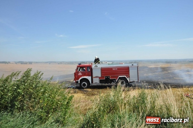 Zdjęcie w galerii na portalu naszraciborz.pl: Pożar zboża na pniu i ścierniska na granicy Pawłowa i Raciborza FOTO i WIDEO z akcji wiadomości z regionu