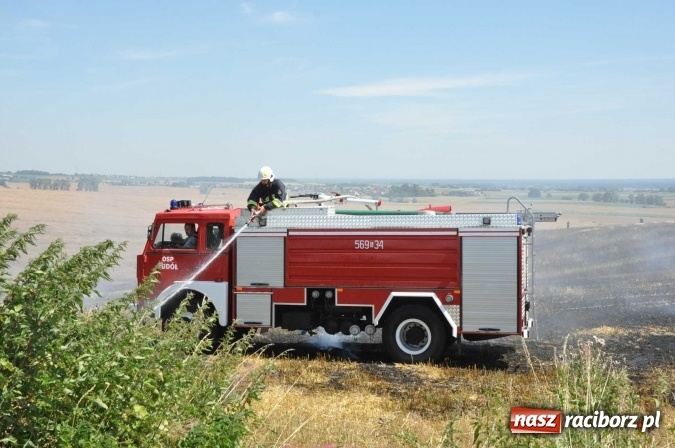 Zdjęcie w galerii na portalu naszraciborz.pl: Pożar zboża na pniu i ścierniska na granicy Pawłowa i Raciborza FOTO i WIDEO z akcji wiadomości z regionu