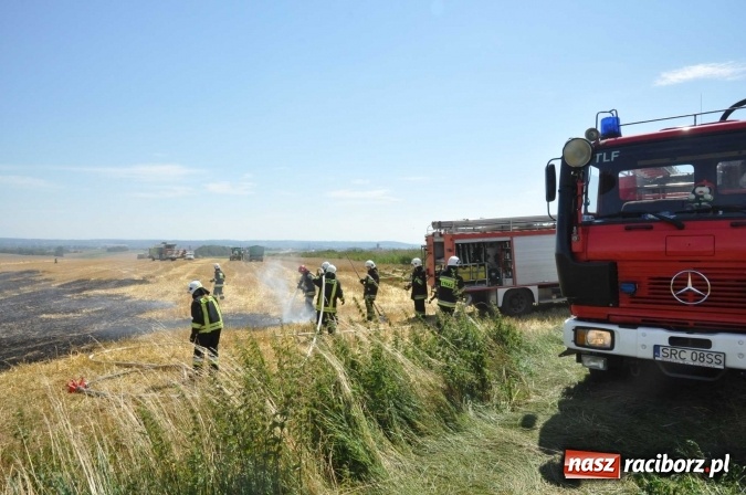 Zdjęcie w galerii na portalu naszraciborz.pl: Pożar zboża na pniu i ścierniska na granicy Pawłowa i Raciborza FOTO i WIDEO z akcji wiadomości z regionu