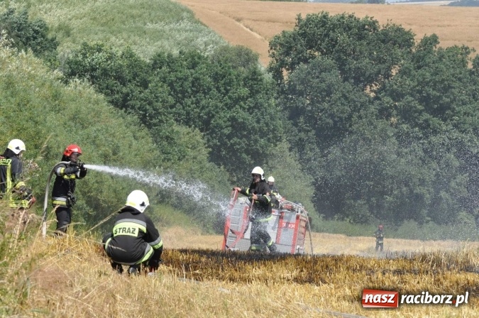 Zdjęcie w galerii na portalu naszraciborz.pl: Pożar zboża na pniu i ścierniska na granicy Pawłowa i Raciborza FOTO i WIDEO z akcji wiadomości z regionu