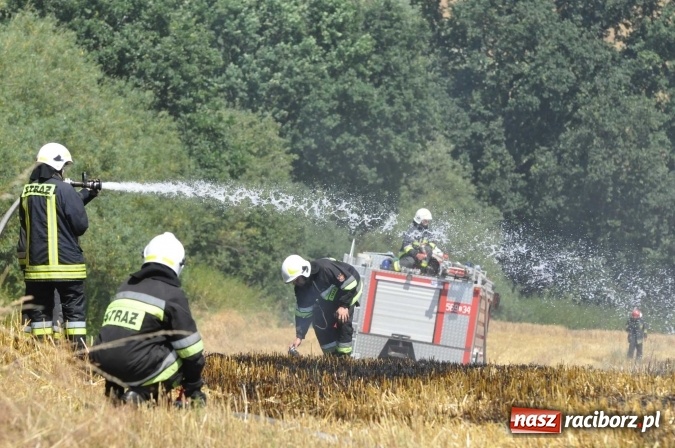 Zdjęcie w galerii na portalu naszraciborz.pl: Pożar zboża na pniu i ścierniska na granicy Pawłowa i Raciborza FOTO i WIDEO z akcji wiadomości z regionu