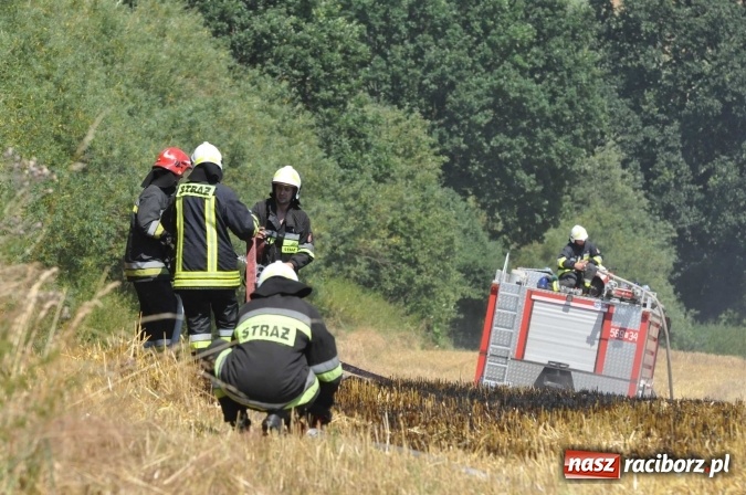 Zdjęcie w galerii na portalu naszraciborz.pl: Pożar zboża na pniu i ścierniska na granicy Pawłowa i Raciborza FOTO i WIDEO z akcji wiadomości z regionu
