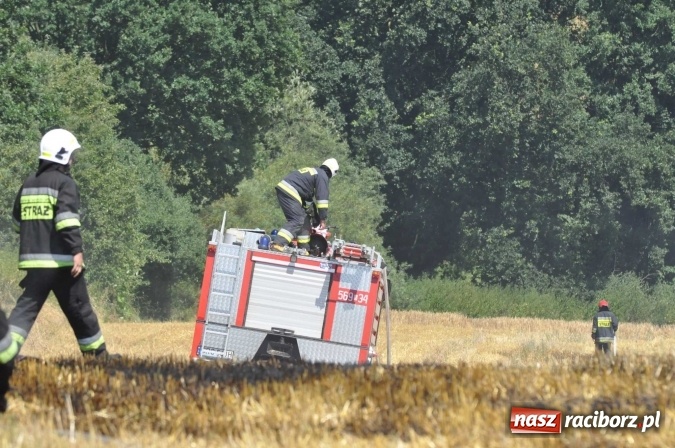 Zdjęcie w galerii na portalu naszraciborz.pl: Pożar zboża na pniu i ścierniska na granicy Pawłowa i Raciborza FOTO i WIDEO z akcji wiadomości z regionu