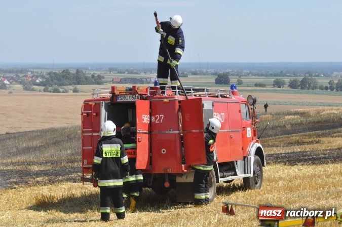 Zdjęcie w galerii na portalu naszraciborz.pl: Pożar zboża na pniu i ścierniska na granicy Pawłowa i Raciborza FOTO i WIDEO z akcji wiadomości z regionu