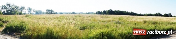 Zdjęcie w galerii na portalu naszraciborz.pl: Kolejne działki przemysłowe do wzięcia w gminie Nędza wiadomości z regionu