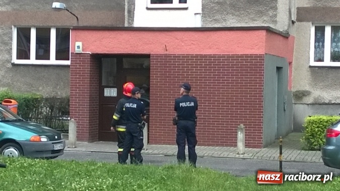 Zdjęcie w galerii na portalu naszraciborz.pl: Mamy komunikat Prokuratury Krajowej w sprawie wydarzeń z Raciborza. Zarzuty dla żołnierzy i policjantów należących do grupy przestępczej z południa Polski wiadomości z regionu