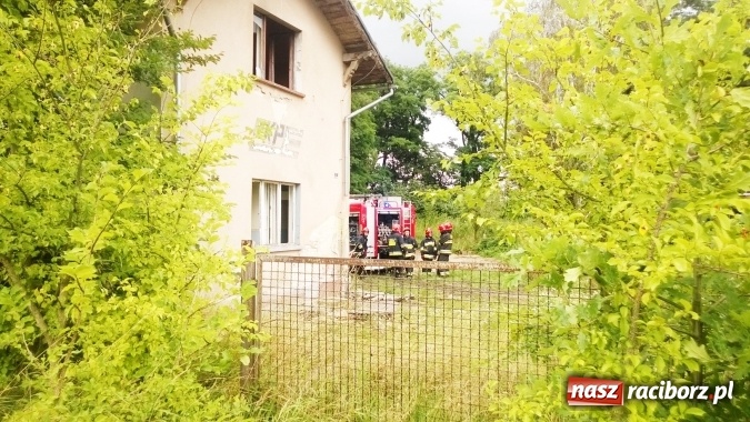 Zdjęcie w galerii na portalu naszraciborz.pl: W Lekartowie palił się pustostan po dworcu PKP wiadomości z regionu