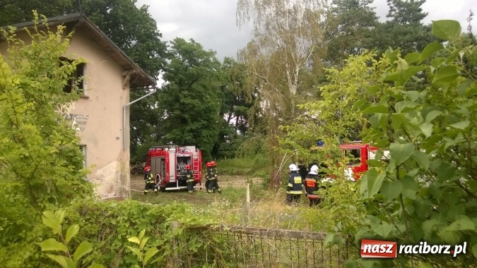 Zdjęcie w galerii na portalu naszraciborz.pl: W Lekartowie palił się pustostan po dworcu PKP wiadomości z regionu