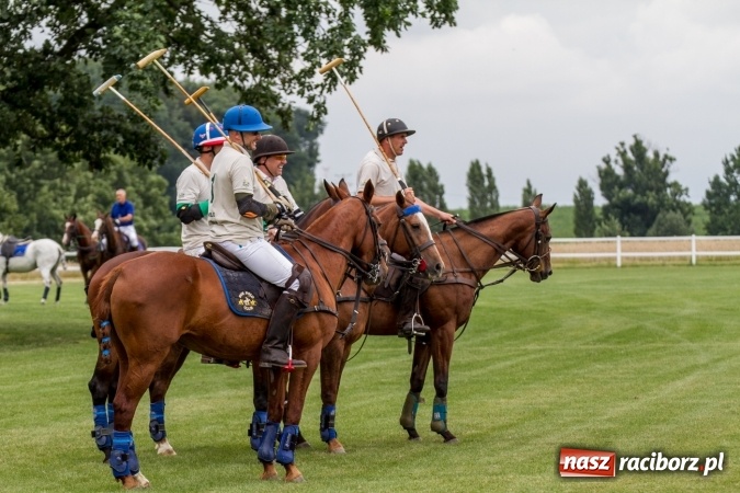 Zdjęcie w galerii na portalu naszraciborz.pl: W Zakrzowie trwa Silesia Summer Classic Polo Cup wiadomości z regionu