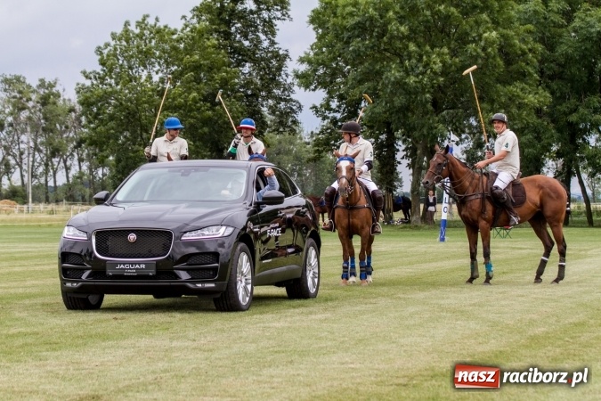 Zdjęcie w galerii na portalu naszraciborz.pl: W Zakrzowie trwa Silesia Summer Classic Polo Cup wiadomości z regionu