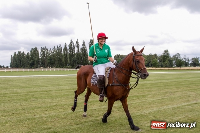 Zdjęcie w galerii na portalu naszraciborz.pl: W Zakrzowie trwa Silesia Summer Classic Polo Cup wiadomości z regionu