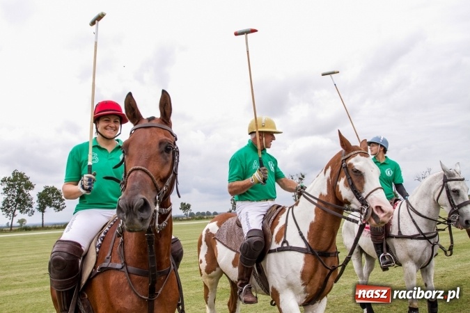 Zdjęcie w galerii na portalu naszraciborz.pl: W Zakrzowie trwa Silesia Summer Classic Polo Cup wiadomości z regionu