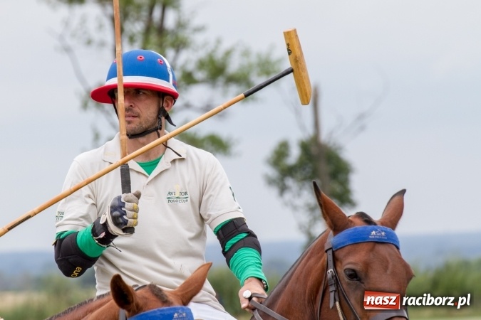 Zdjęcie w galerii na portalu naszraciborz.pl: W Zakrzowie trwa Silesia Summer Classic Polo Cup wiadomości z regionu