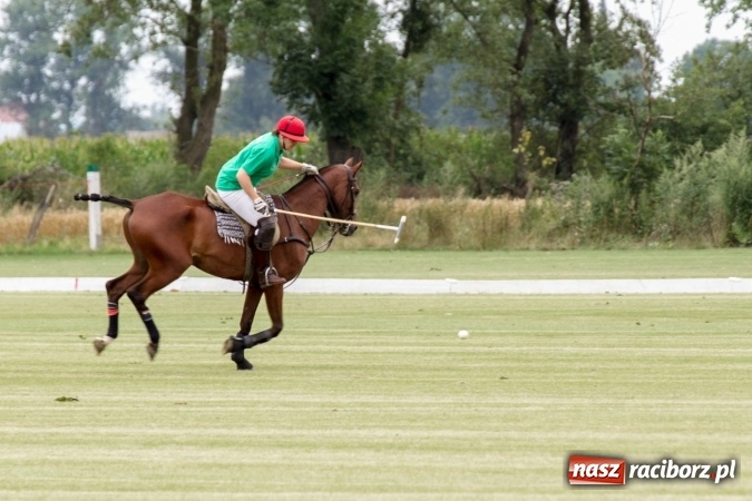 Zdjęcie w galerii na portalu naszraciborz.pl: W Zakrzowie trwa Silesia Summer Classic Polo Cup wiadomości z regionu