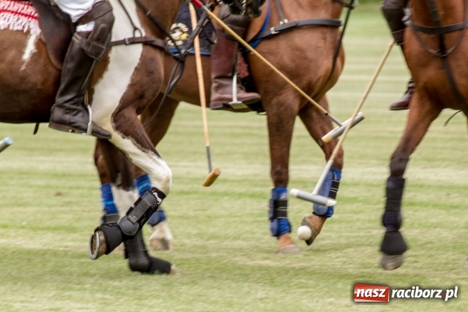 Zdjęcie w galerii na portalu naszraciborz.pl: W Zakrzowie trwa Silesia Summer Classic Polo Cup wiadomości z regionu
