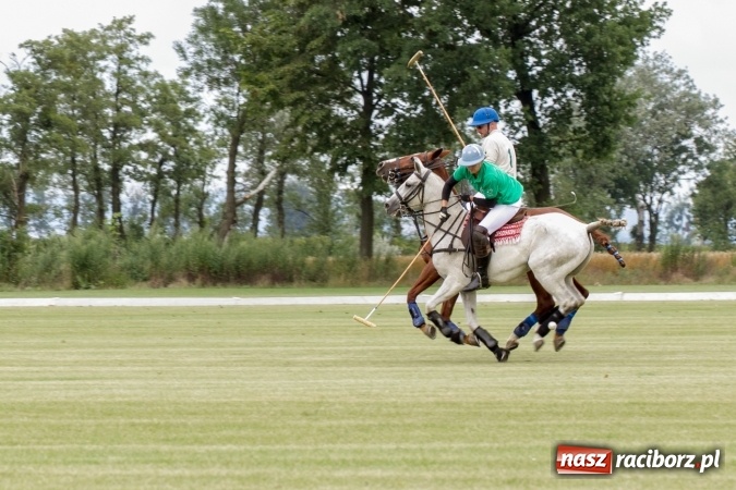 Zdjęcie w galerii na portalu naszraciborz.pl: W Zakrzowie trwa Silesia Summer Classic Polo Cup wiadomości z regionu