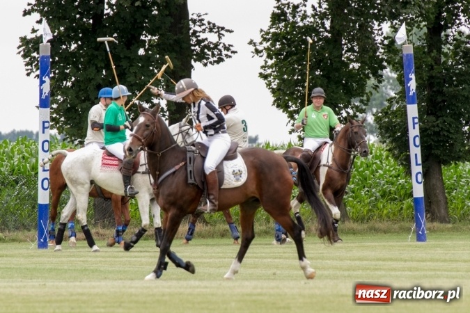 Zdjęcie w galerii na portalu naszraciborz.pl: W Zakrzowie trwa Silesia Summer Classic Polo Cup wiadomości z regionu