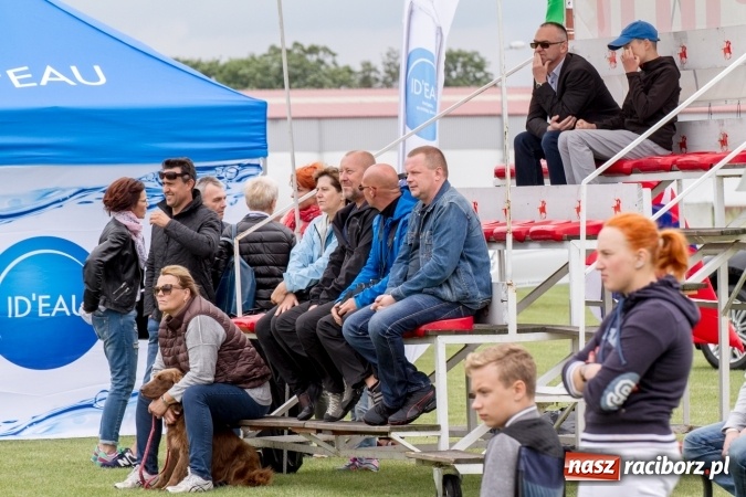 Zdjęcie w galerii na portalu naszraciborz.pl: W Zakrzowie trwa Silesia Summer Classic Polo Cup wiadomości z regionu
