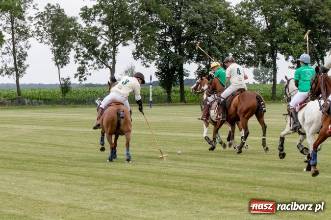 Zdjęcie w galerii na portalu naszraciborz.pl: W Zakrzowie trwa Silesia Summer Classic Polo Cup wiadomości z regionu