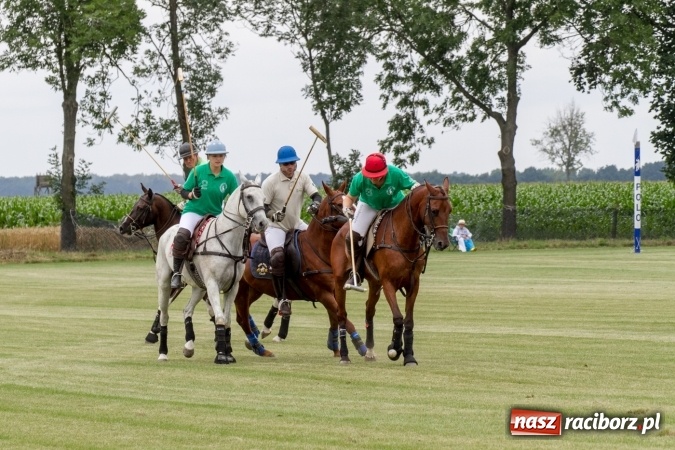 Zdjęcie w galerii na portalu naszraciborz.pl: W Zakrzowie trwa Silesia Summer Classic Polo Cup wiadomości z regionu